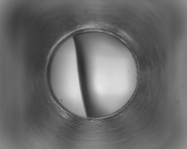X0000073741216200608031101