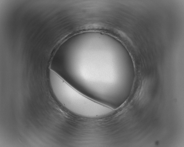 X0000073741217200608031101