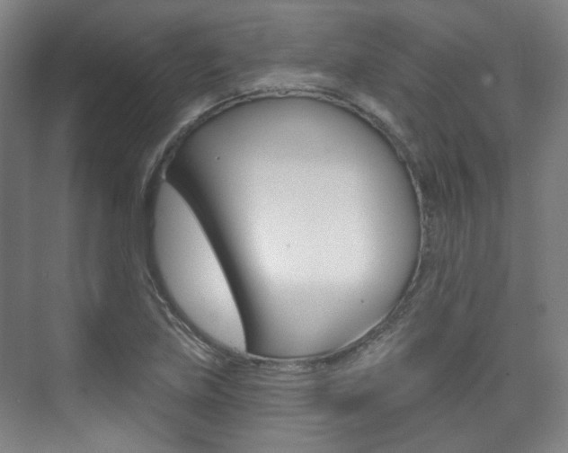 X0000073741219200608031101