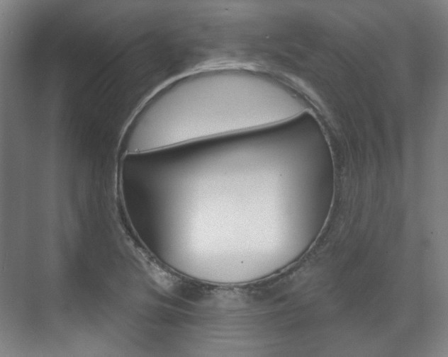 X0000073741220200608031101
