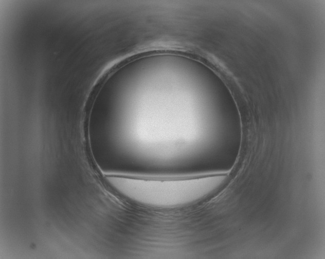 X0000073741222200608031101