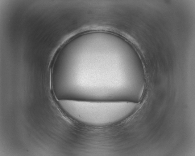 X0000073741223200608031101