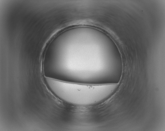 X0000073741224200608031101