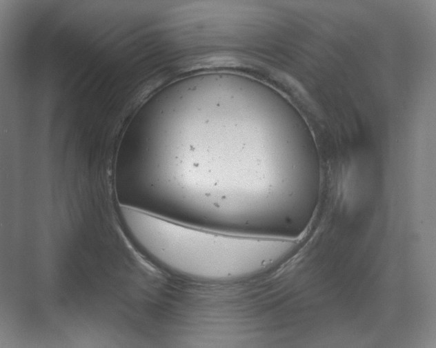 X0000073741225200608031101