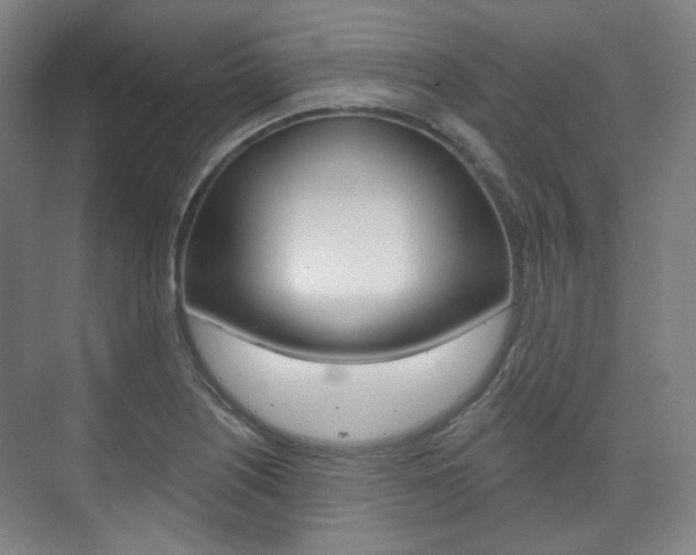 X0000073741226200608031101