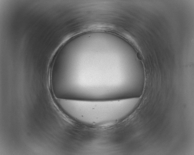 X0000073741227200608031101