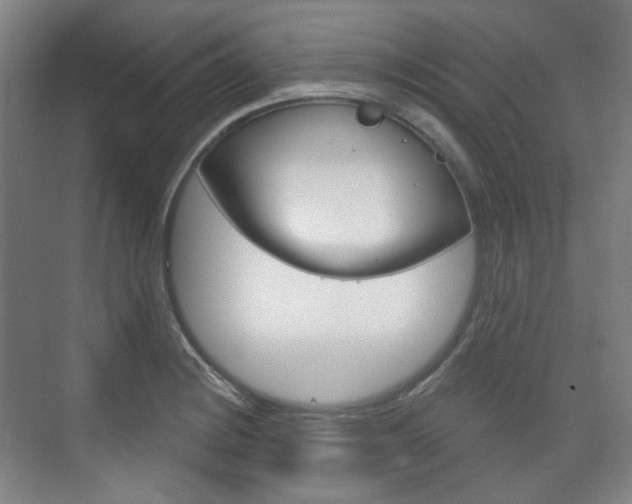 X0000073741228200608031101