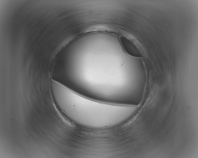 X0000073741233200608031101