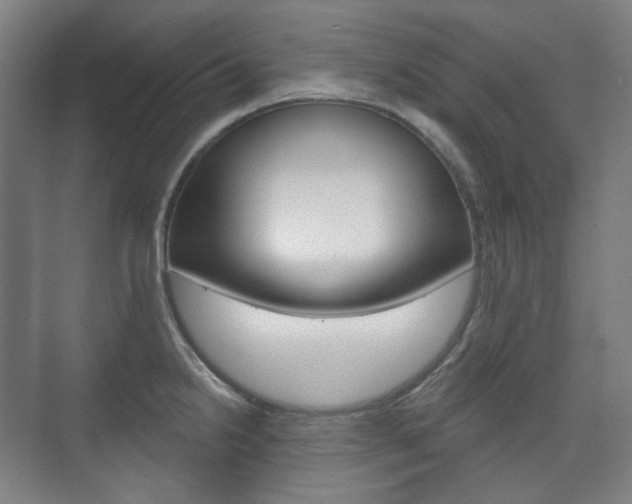 X0000073741238200608031101