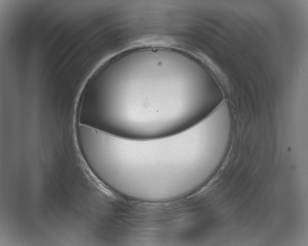 X0000073741240200608031101