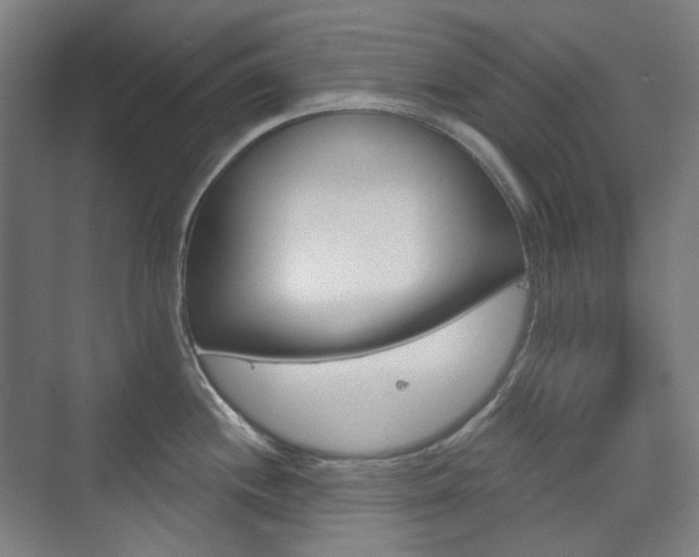 X0000073741244200608031101