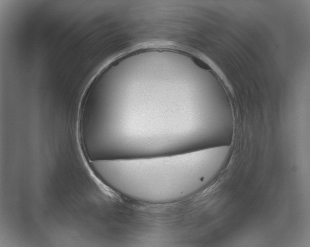 X0000073741245200608031101
