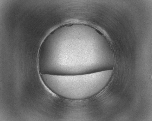 X0000073741247200608031101