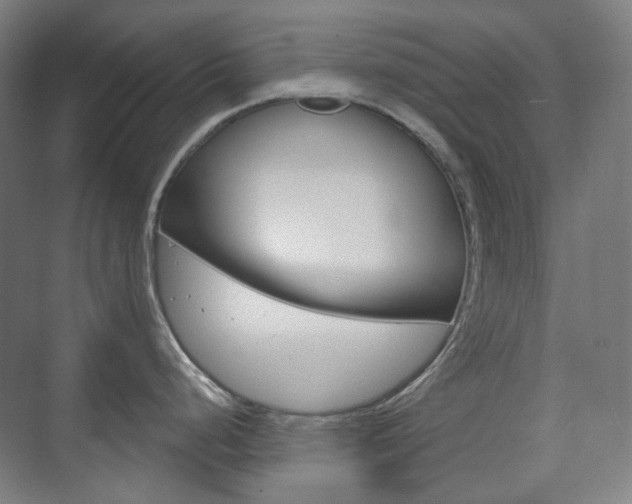 X0000073741248200608031101