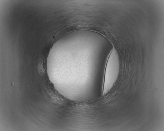 X0000073741250200608031100
