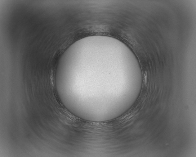 X0000073741251200608031100