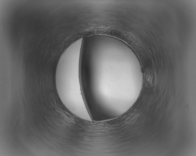 X0000073741252200608031100