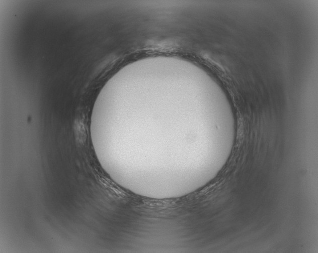 X0000073741254200608031100