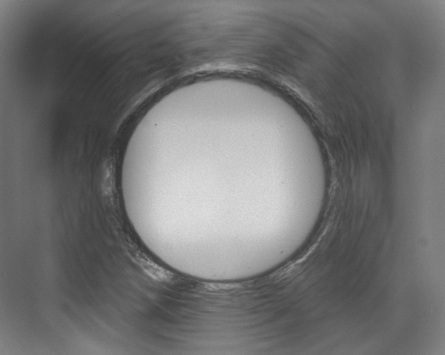 X0000073741258200608031100