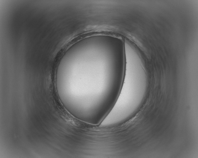 X0000073741261200608031100