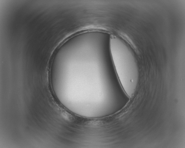 X0000073741268200608031100