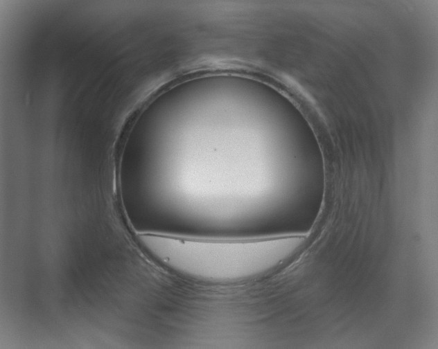 X0000073741269200608031100