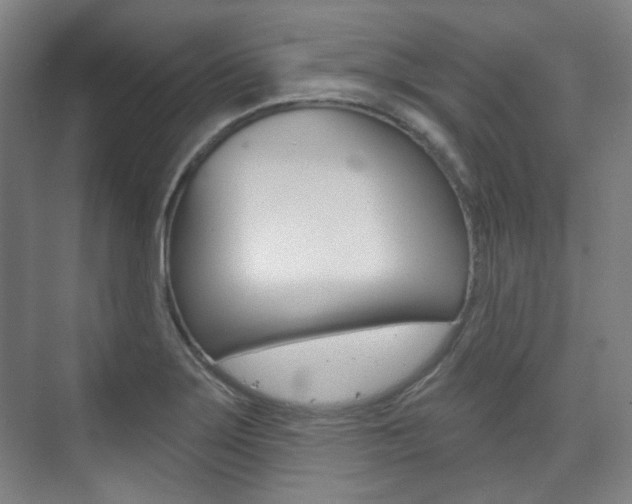 X0000073741275200608031100