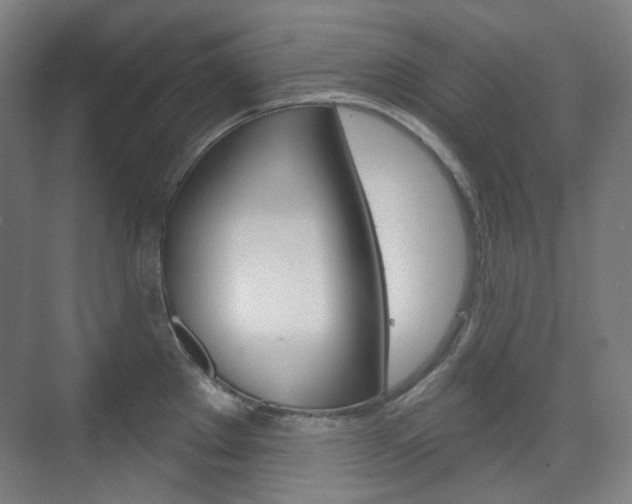 X0000073741289200608031100