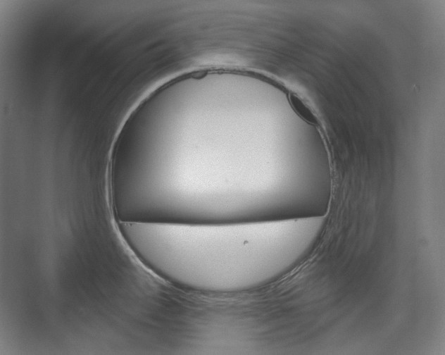 X0000073741295200608031100