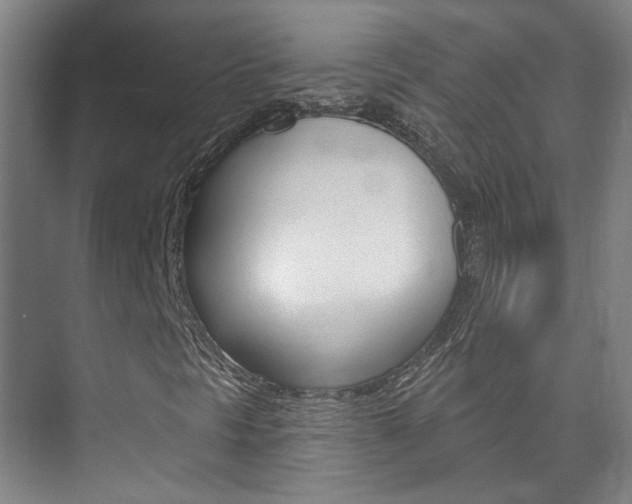 X0000073741297200608031059