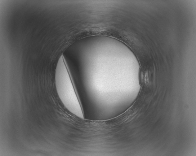 X0000073741299200608031059