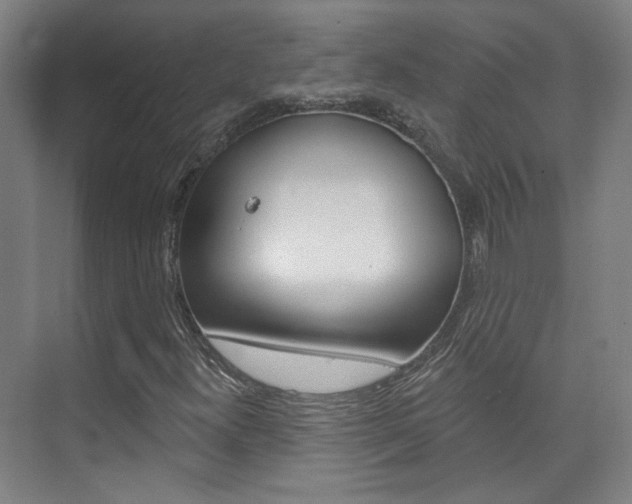 X0000073741300200608031059