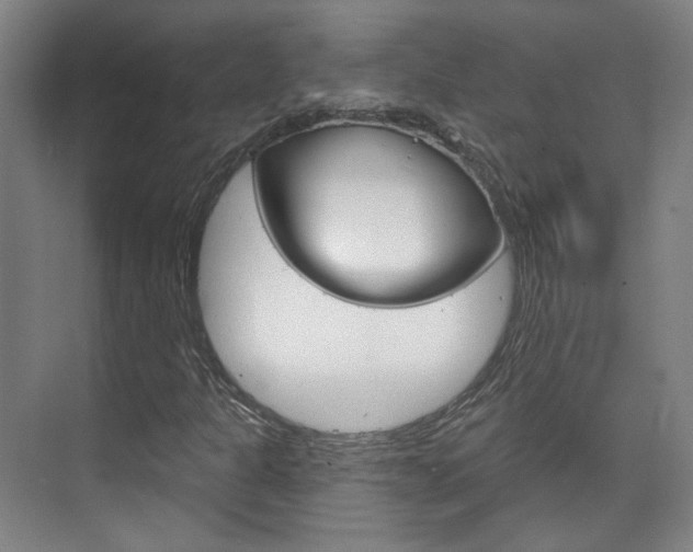 X0000073741301200608031059