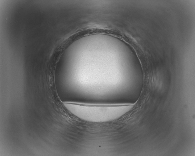 X0000073741303200608031059