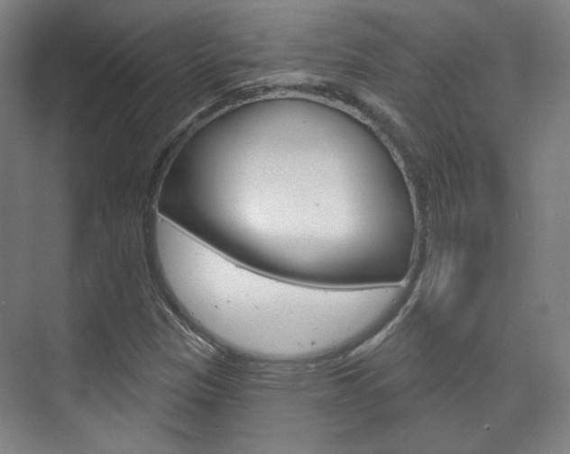 X0000073741305200608031059
