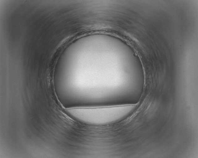 X0000073741306200608031059
