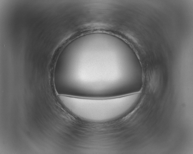 X0000073741309200608031059