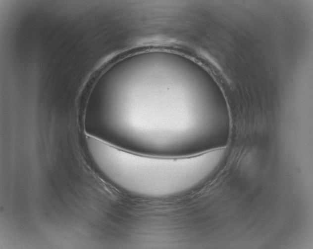 X0000073741315200608031059