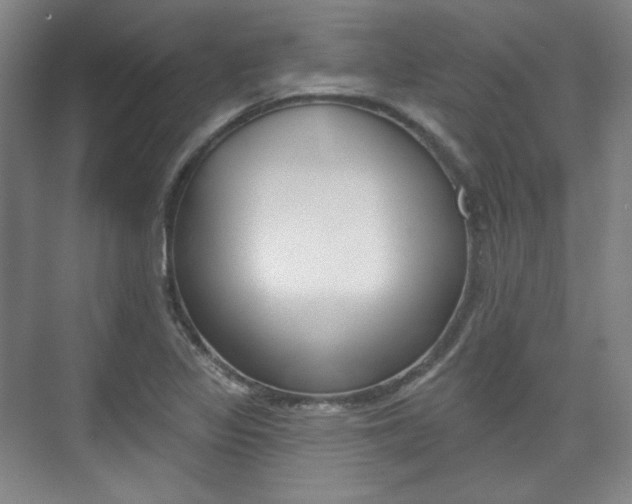 X0000073741317200608031059
