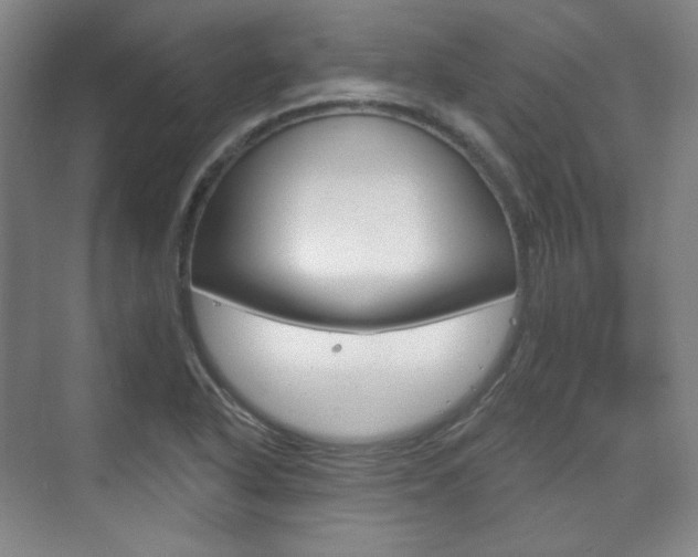 X0000073741318200608031059