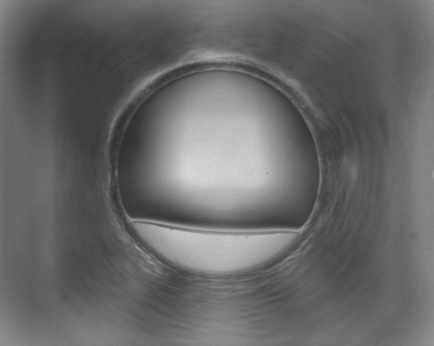 X0000073741319200608031059