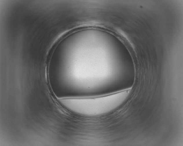 X0000073741320200608031059