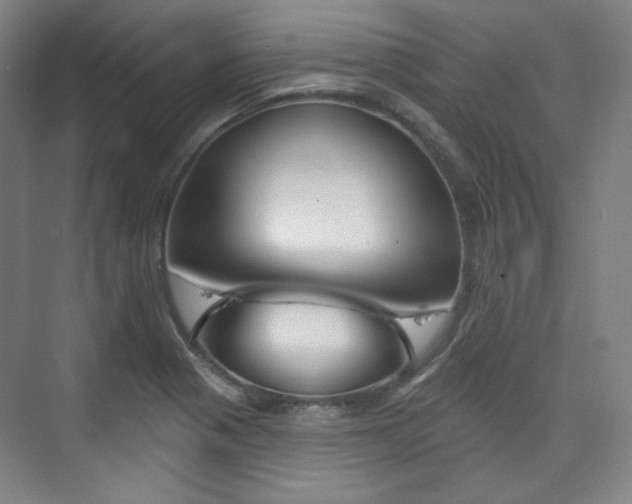 X0000073741321200608031059