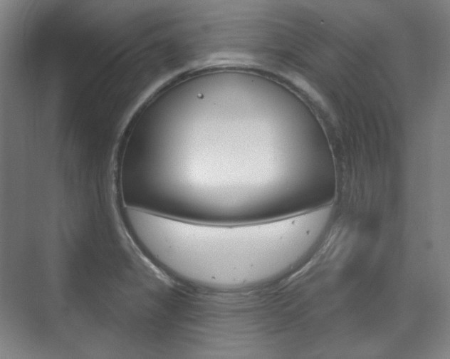 X0000073741325200608031059