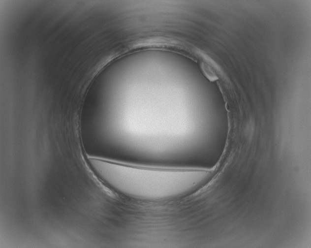 X0000073741329200608031059
