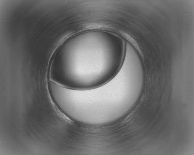 X0000073741330200608031059