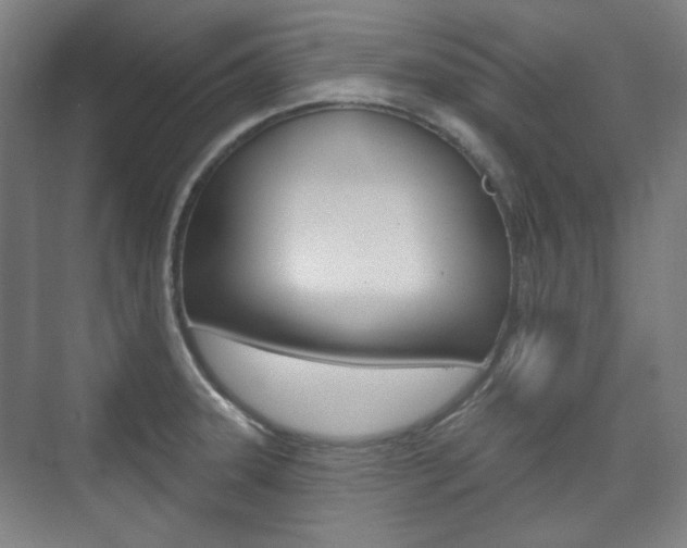 X0000073741331200608031059