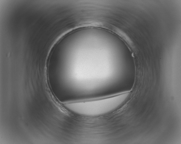 X0000073741332200608031059