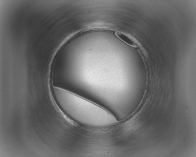 X0000073741333200608031059