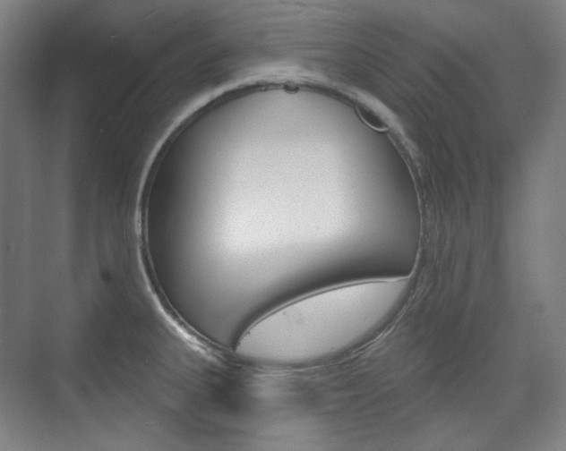 X0000073741335200608031059
